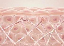 【2026年版】AI設計ペプチドとは？スキンケア効果とメカニズムを「設計思想」から徹底解説