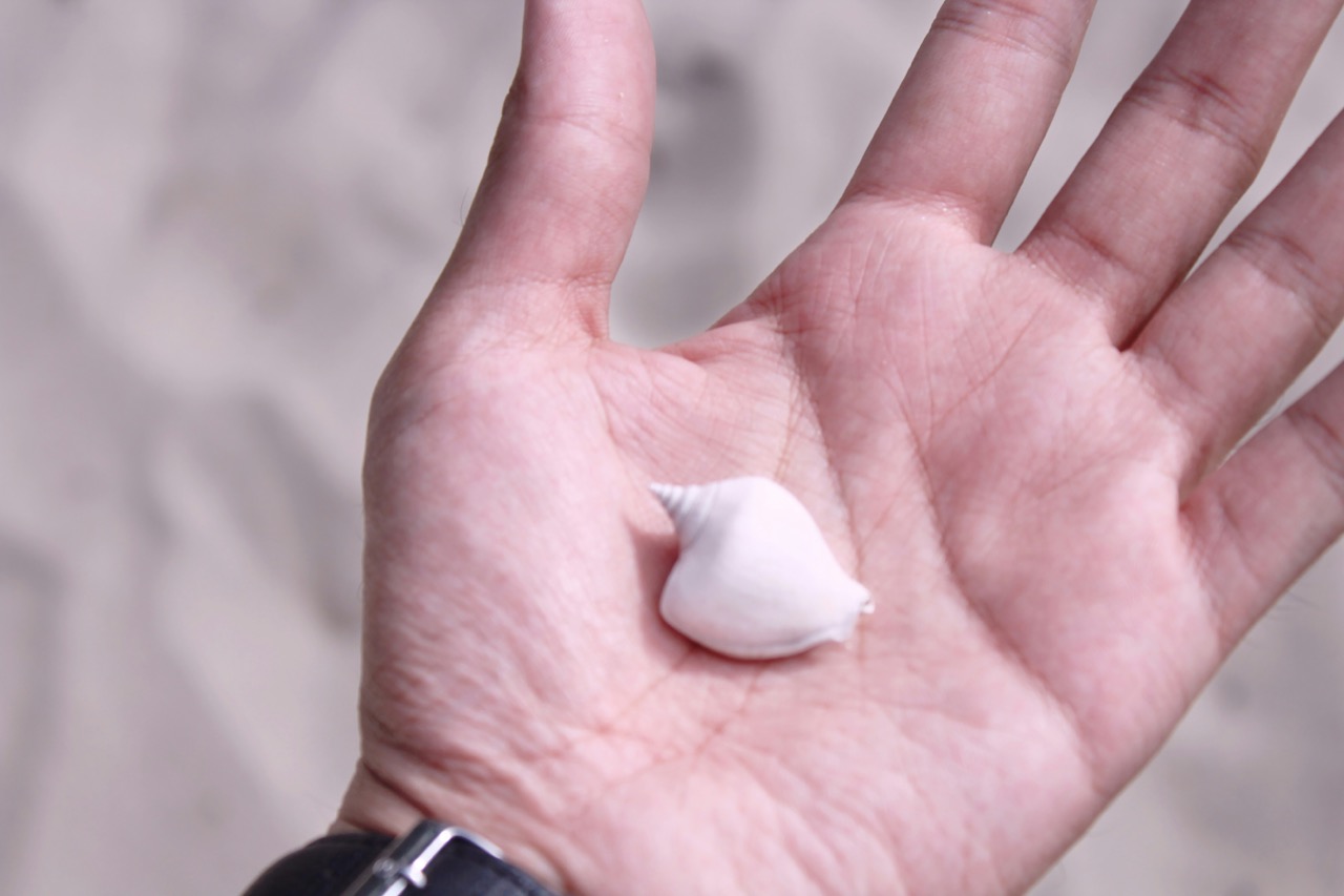手のひらにとったクリームの量の目安