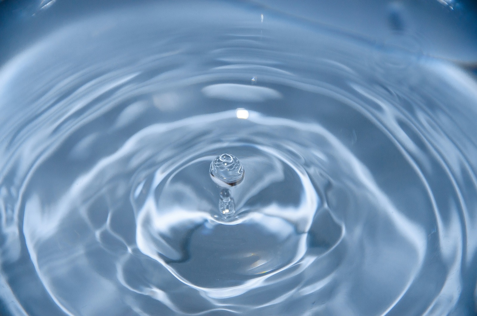 dプログラムの化粧水は敏感肌向け？3種の違いと公式ページで確認できたこと・選ぶ前の4つの確認点