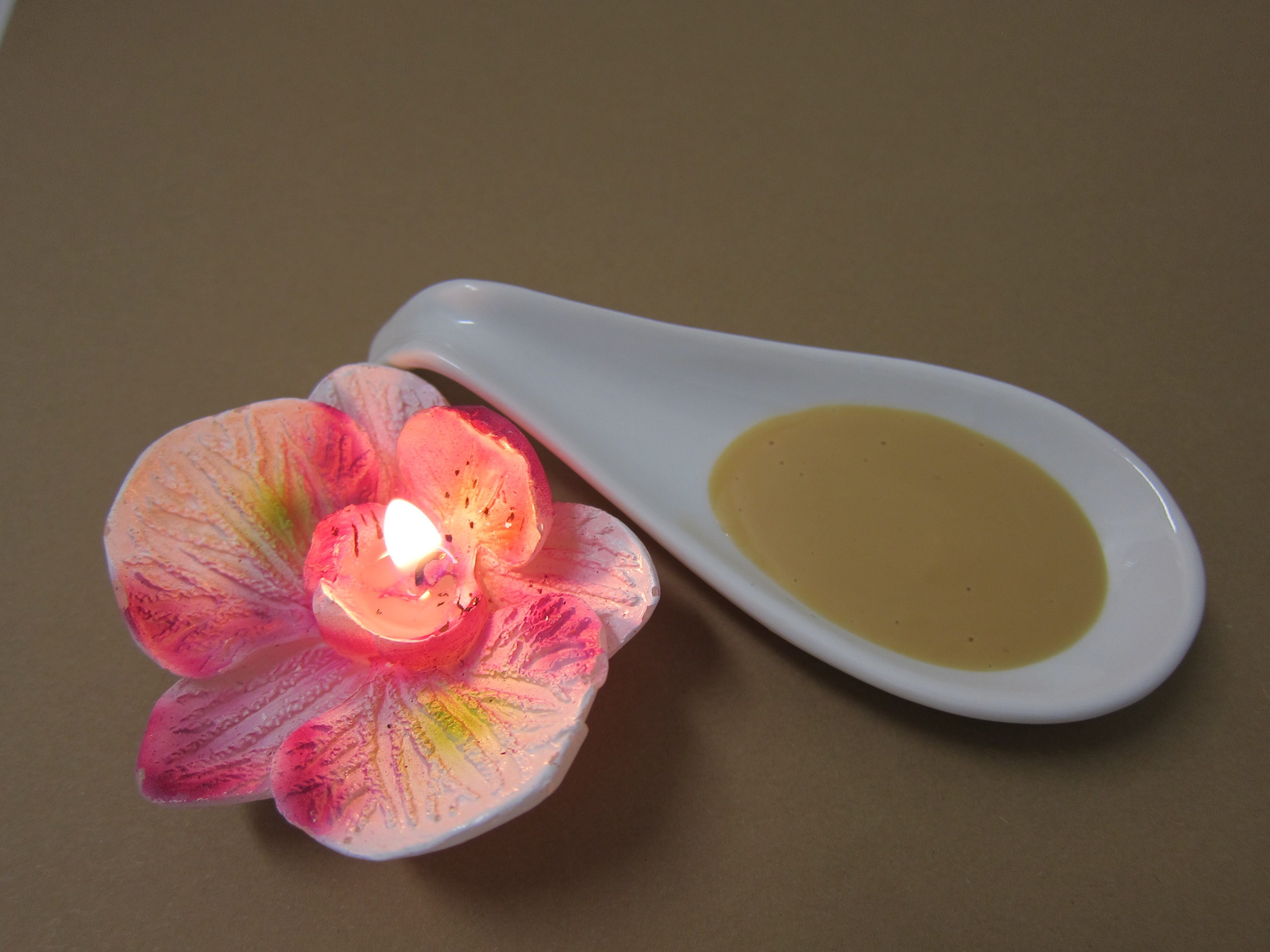植物オイルの原料と抽出エッセンス