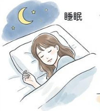 睡眠の重要性イラスト