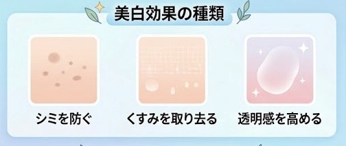 美白成分の効果と浸透ルートの解説イラスト